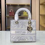 Dior CD Lady 21 Tiger Embroidery 9027 Size 24×20×11cm  - 1
