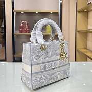 Dior CD Lady 21 Tiger Embroidery 9027 Size 24×20×11cm  - 6