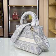 Dior CD Lady 21 Tiger Embroidery 9027 Size 24×20×11cm  - 5