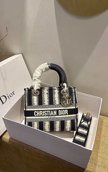 Dior Lady D-Lite Reverse 09 Size 24 x 20 x 11cm