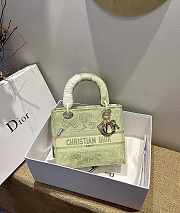 Dior Lady D-Lite Reverse 11 Size 24 x 20 x 11 cm  - 1