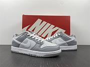 Nike Dunk Low Two Tone Grey - DJ6188-001 - 5
