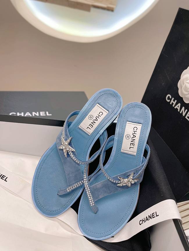 Chanel Open Heel Shoes - 01 - 1