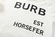 Burberry Hoodie 19 - 4