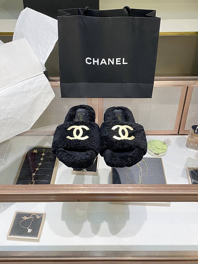 	 Chanel slides 06 - 1