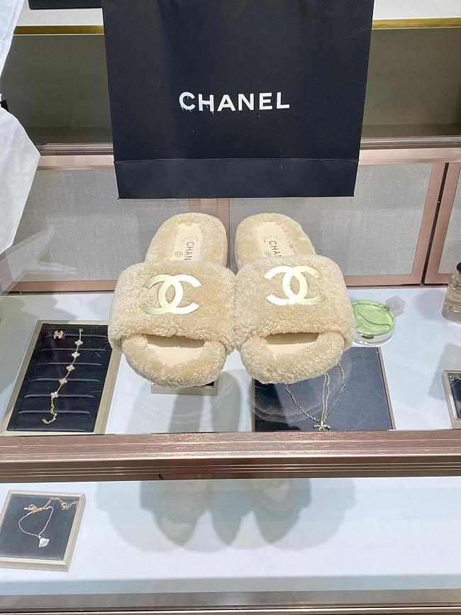 	 Chanel slides 07 - 1