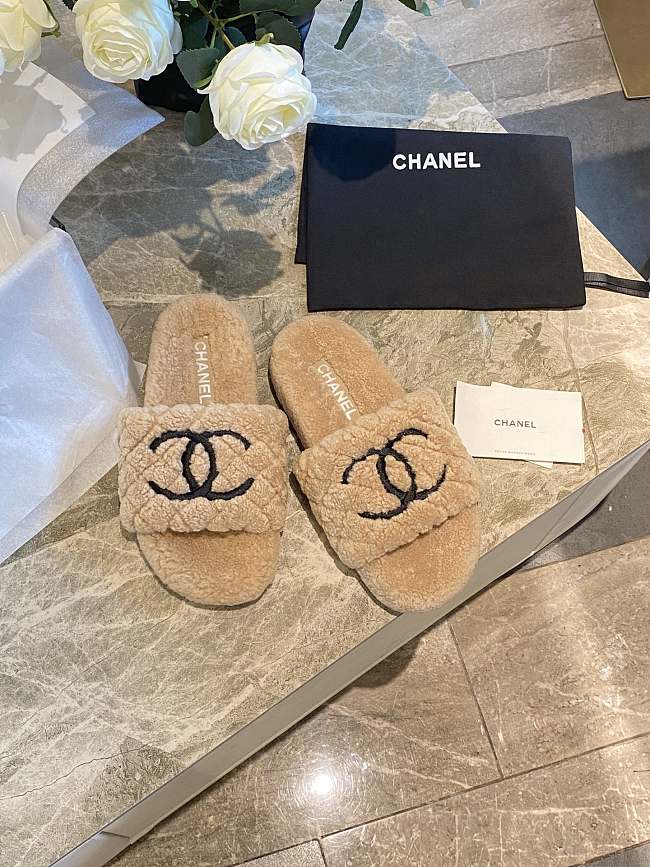 	 Chanel slides 21 - 1