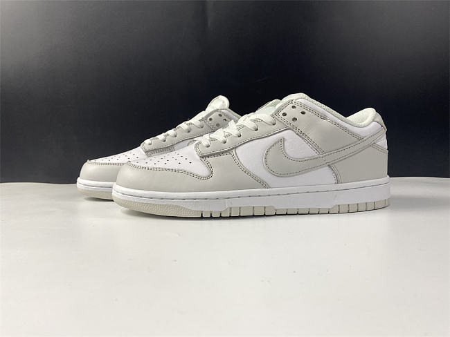 Nike Dunk Low Photon Dust DD1503-103 - 1