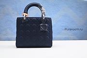 DIOR Ethereal Gradient Cannage Lambskin Bag 24cm - 1