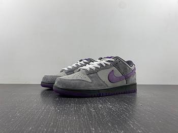 Nike SB Dunk Low Purple Pigeon 304292-051