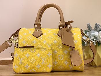 Louis Vuitton Speedy 25 M24426 Yellow 25*15*16cm