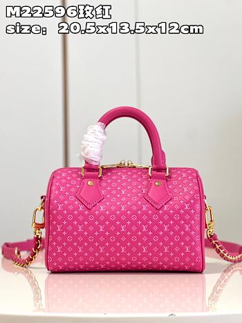 LV Nanogram Speedy 20 bag  M22595 rose red  20.5*13.5*12cm