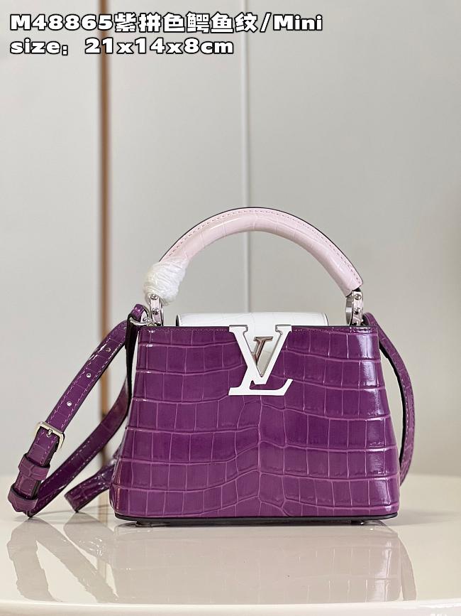 Louis Vuitton M48865 Capucines purple bag Mini 21*14*8cm - 1