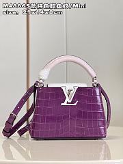 Louis Vuitton M48865 Capucines purple bag Mini 21*14*8cm - 1