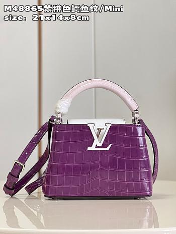 Louis Vuitton M48865 Capucines purple bag Mini 21*14*8cm