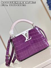 Louis Vuitton M48865 Capucines purple bag Mini 21*14*8cm - 5