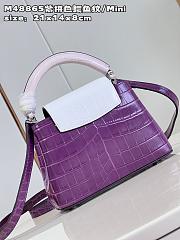 Louis Vuitton M48865 Capucines purple bag Mini 21*14*8cm - 3