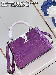 Louis Vuitton M48865 Capucines purple bag BB  27*18*9cm  - 3