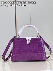 Louis Vuitton M48865 Capucines purple bag BB  27*18*9cm  - 1