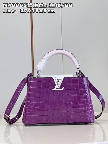 Louis Vuitton M48865 Capucines purple bag BB  27*18*9cm 