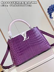 Louis Vuitton M48865 Capucines purple bag MM  31.5*20*11cm - 2