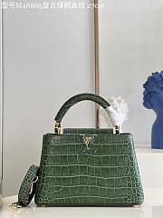 Louis Vuitton M48865 Capucines bag green vintage crocodile pattern 27*18*9cm - 1