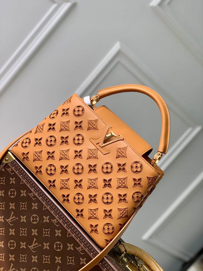 Louis Vuitton Capucines Mini Brown Monogram  21x14x8cm - 1