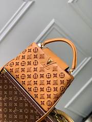 Louis Vuitton Capucines  Brown Monogram 31.5x20×11cm - 1