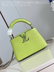 Louis Vuitton Capucines nano Mini green bag Chain  21*14*8cm - 1