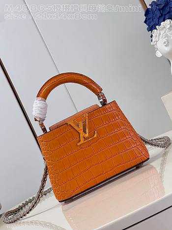 Louis Vuitton Capucines nano Mini orange  bag Chain  21*14*8cm