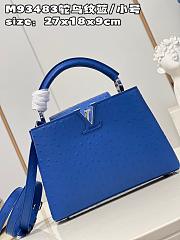 Louis Vuitton Capucines BB bag M93483 Royal blue 27*18*9cm - 5