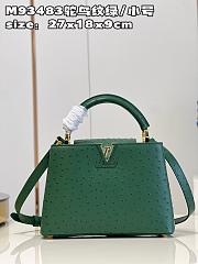 Louis Vuitton Capucines BB bag M93483 emerald  27*18*9cm - 1