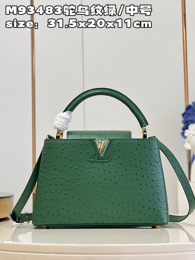 Louis Vuitton Capucines MM  bag M93483 emerald  31.5*20*11cm - 1