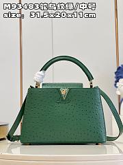 Louis Vuitton Capucines MM  bag M93483 emerald  31.5*20*11cm - 1