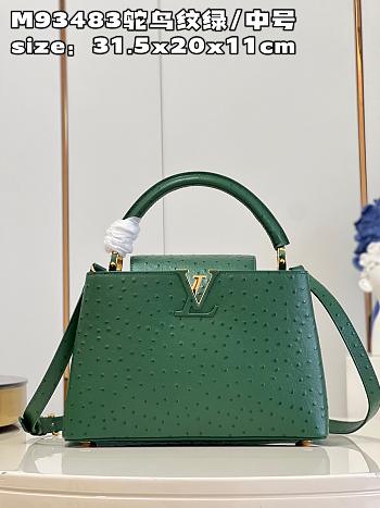 Louis Vuitton Capucines MM  bag M93483 emerald  31.5*20*11cm