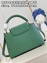 Louis Vuitton Capucines MM  bag M93483 emerald  31.5*20*11cm - 3