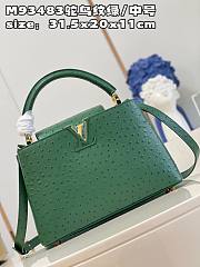 Louis Vuitton Capucines MM  bag M93483 emerald  31.5*20*11cm - 2