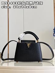 Louis Vuitton Capucines Mini   bag M93483 black  21*14*8cm - 1