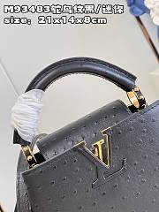 Louis Vuitton Capucines Mini   bag M93483 black  21*14*8cm - 4