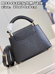 Louis Vuitton Capucines Mini   bag M93483 black  21*14*8cm - 3