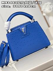 Louis Vuitton Capucines Mini  bag M93483 Royal blue 21*14*8cm - 2