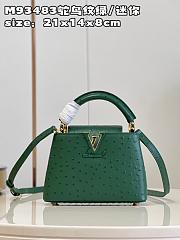 Louis Vuitton Capucines Mini bag M93483 emerald 21*14*8cm - 1