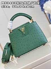 Louis Vuitton Capucines Mini bag M93483 emerald 21*14*8cm - 2