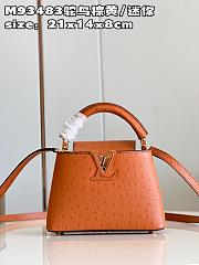 Louis Vuitton Capucines Mini  bag M93483 Brown 21*14*8cm - 1