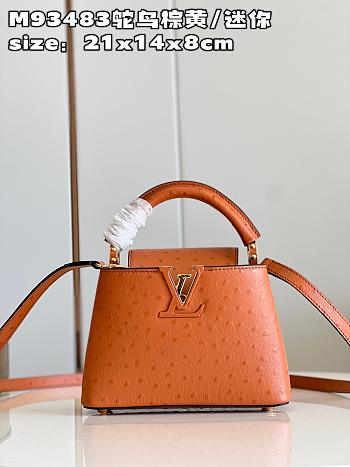 Louis Vuitton Capucines Mini  bag M93483 Brown 21*14*8cm