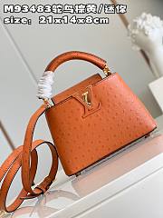 Louis Vuitton Capucines Mini  bag M93483 Brown 21*14*8cm - 4