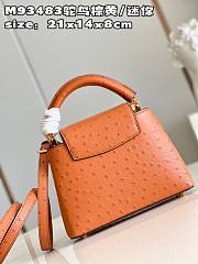 Louis Vuitton Capucines Mini  bag M93483 Brown 21*14*8cm - 3