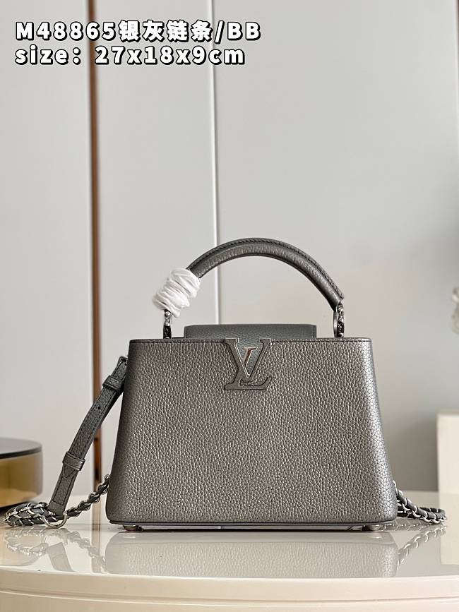 Louis Vuitton Capucines BB bag M48865 silver gray chain   27*18*9cm - 1