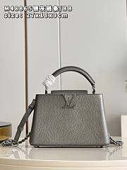 Louis Vuitton Capucines BB bag M48865 silver gray chain   27*18*9cm - 1