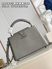 Louis Vuitton Capucines BB bag M48865 silver gray chain   27*18*9cm - 4